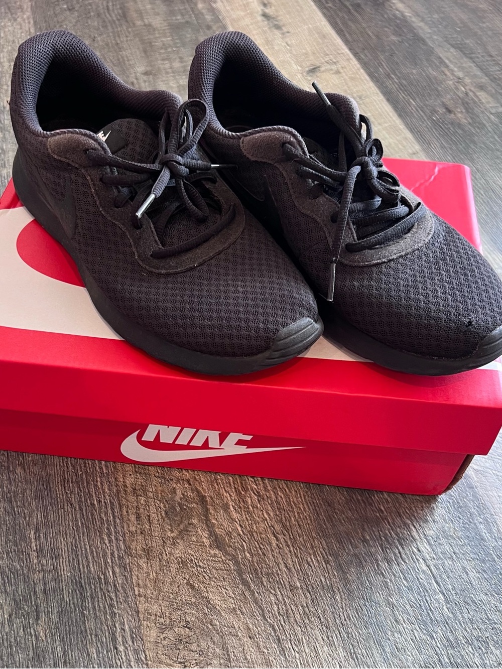 Nike Tanjun Black Sneakers
